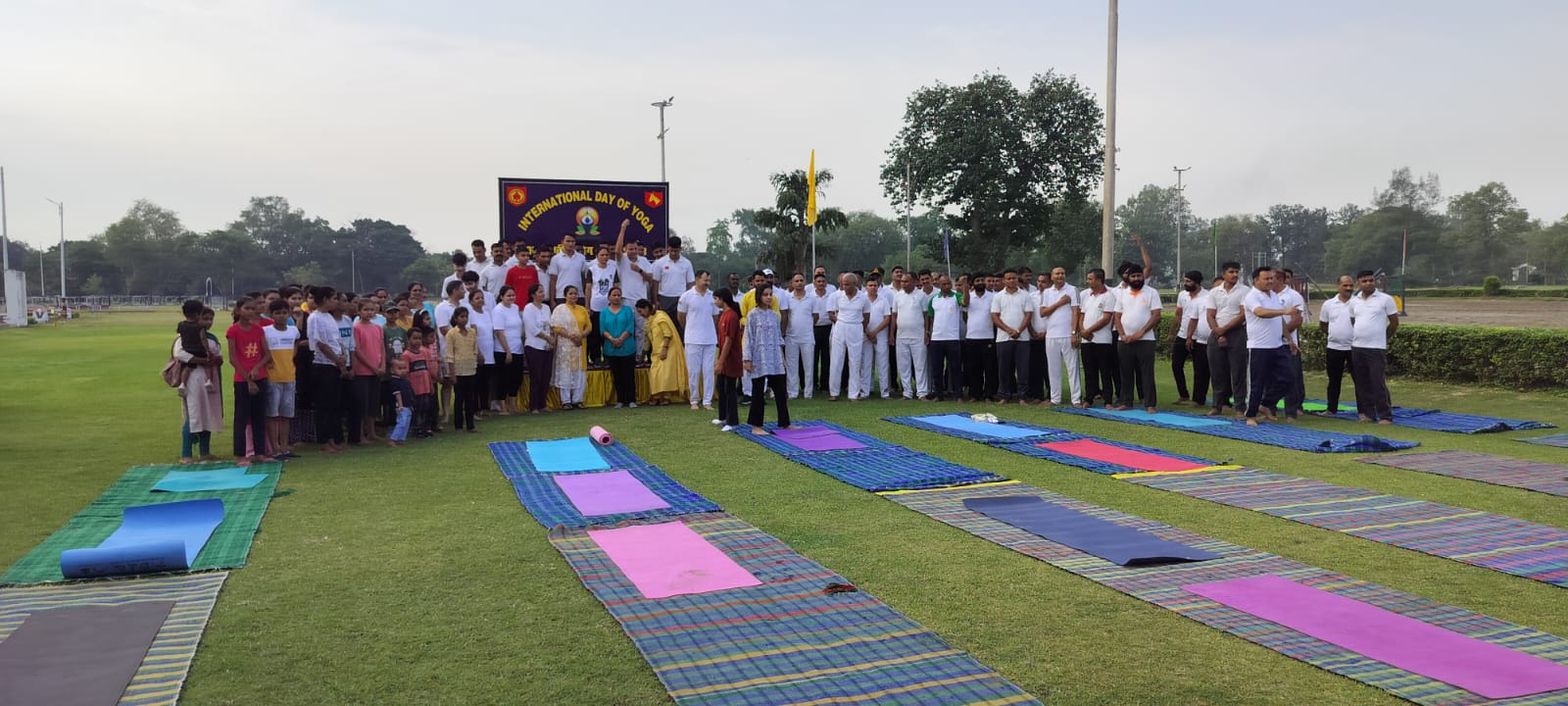 Yoga Activity